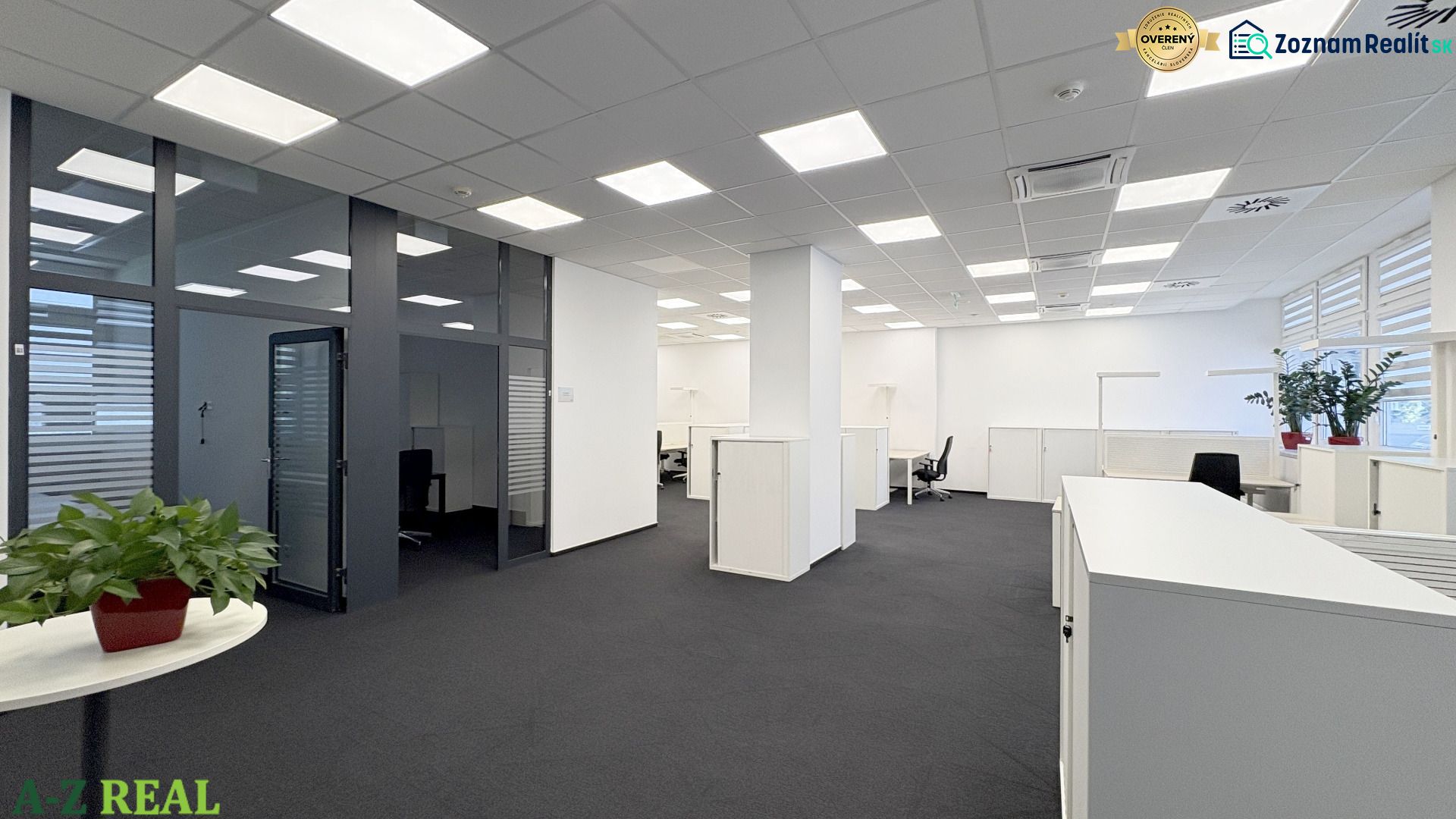 Offices with glass partitions, carpeted floors, and greenery make the space cozy.