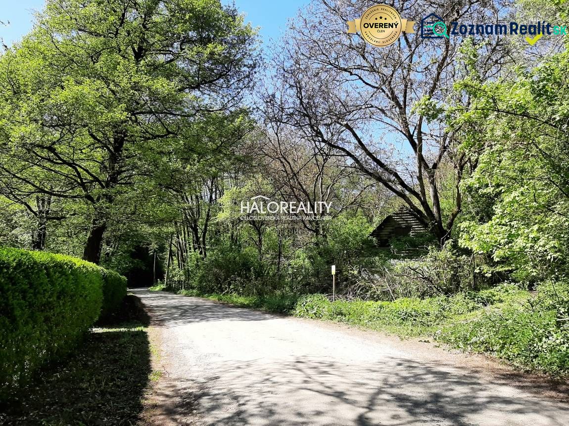 The path in the shade of trees leads through the gardens in Hubina, surrounded by lush vegetation.