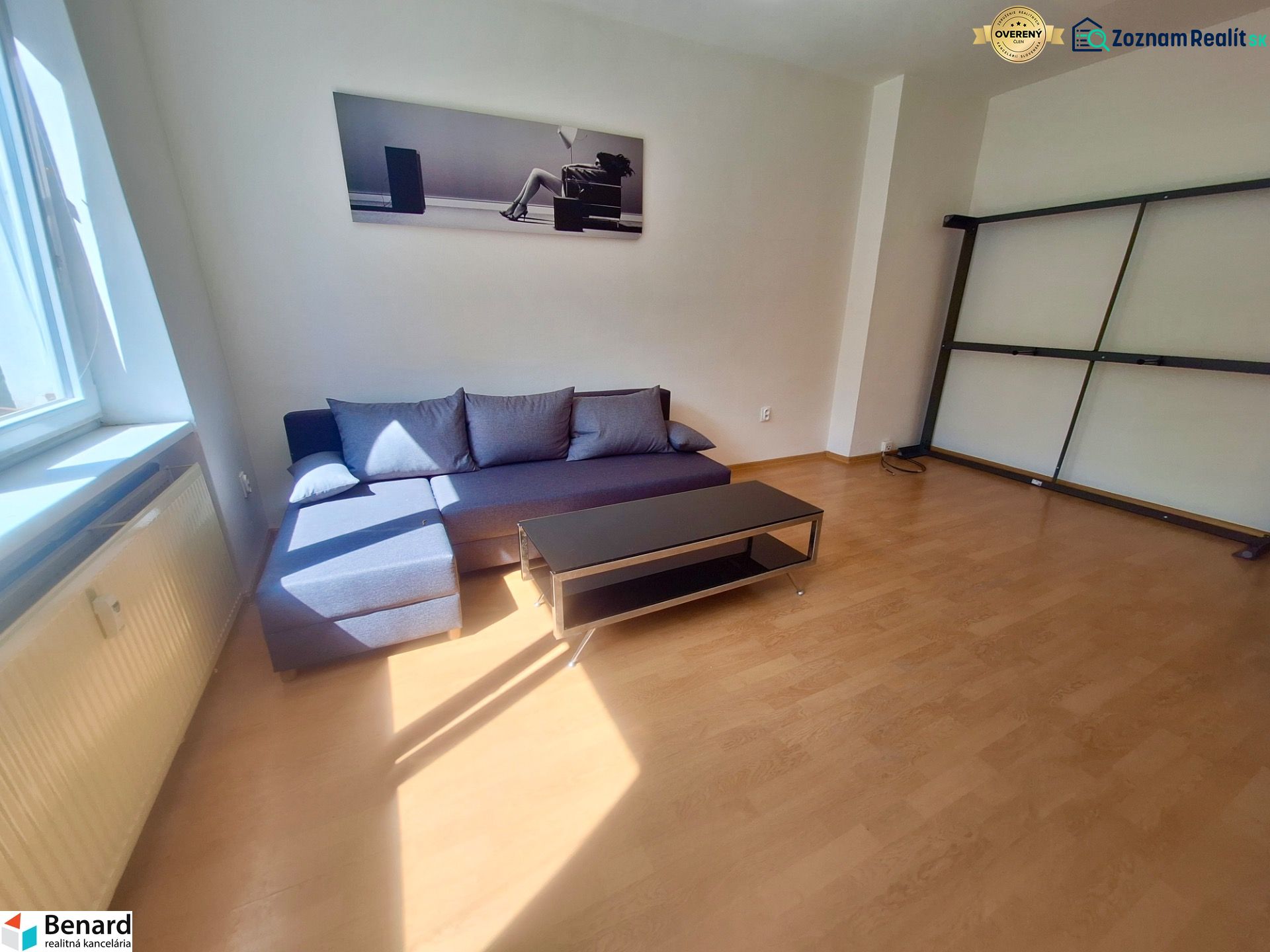 Living room in a studio apartment with a couch and wood-patterned flooring.