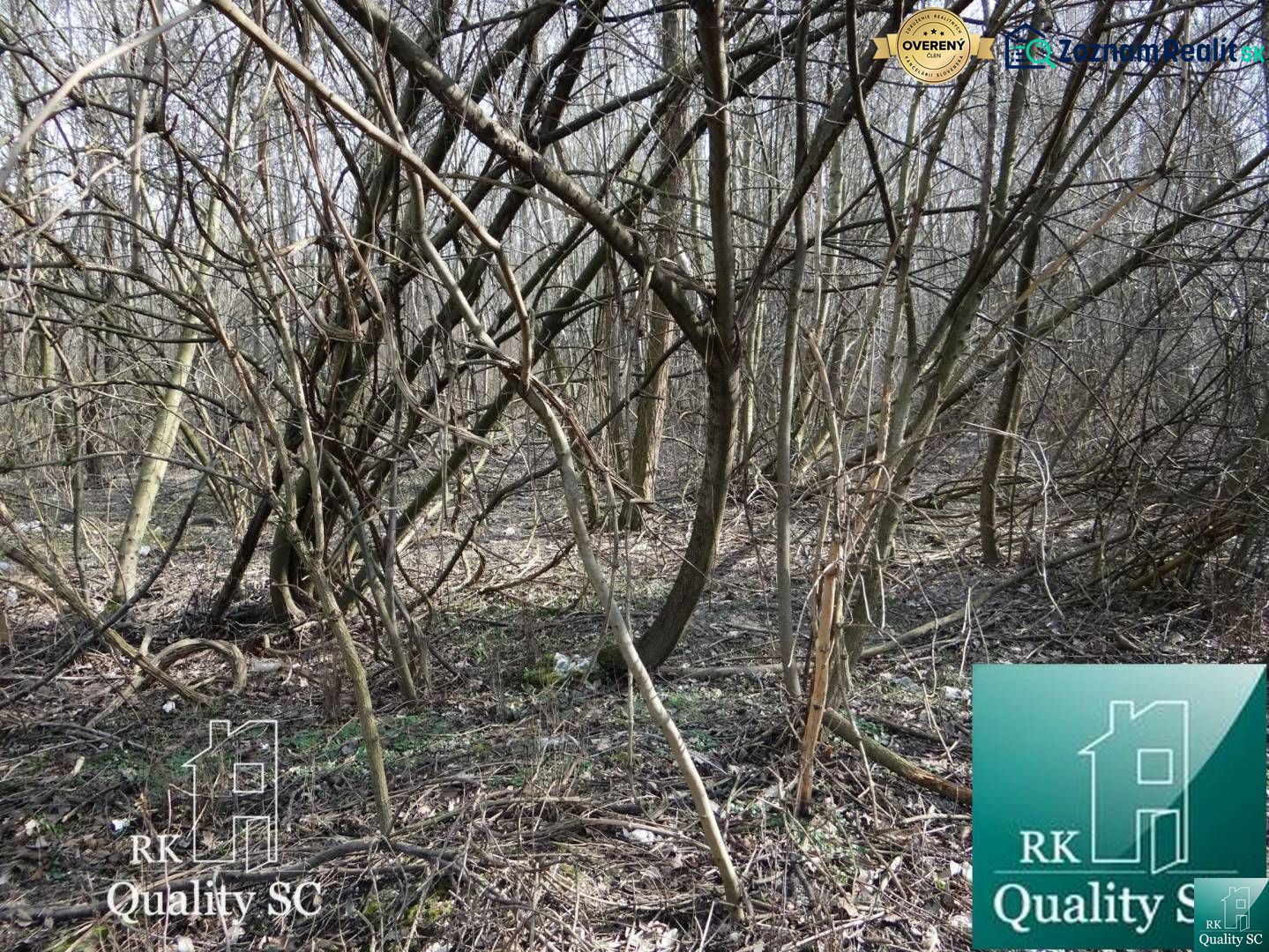 Dense forested areas on the plots - living near the Old Port Gabčíkovo.