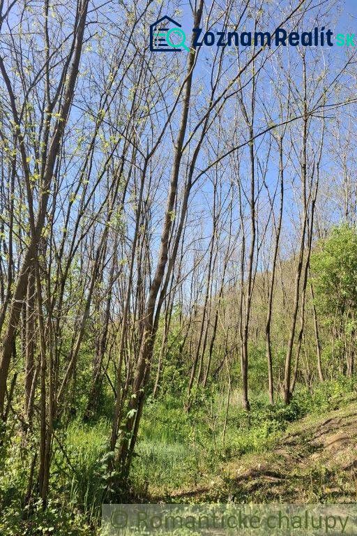 Greenery and trees in Šiatorská Bukovinka suitable for plots - living in nature.