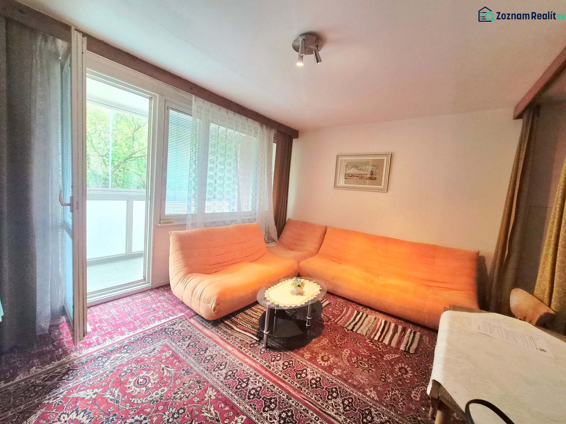 Living room in a two-room apartment with a carpet and an orange sofa.