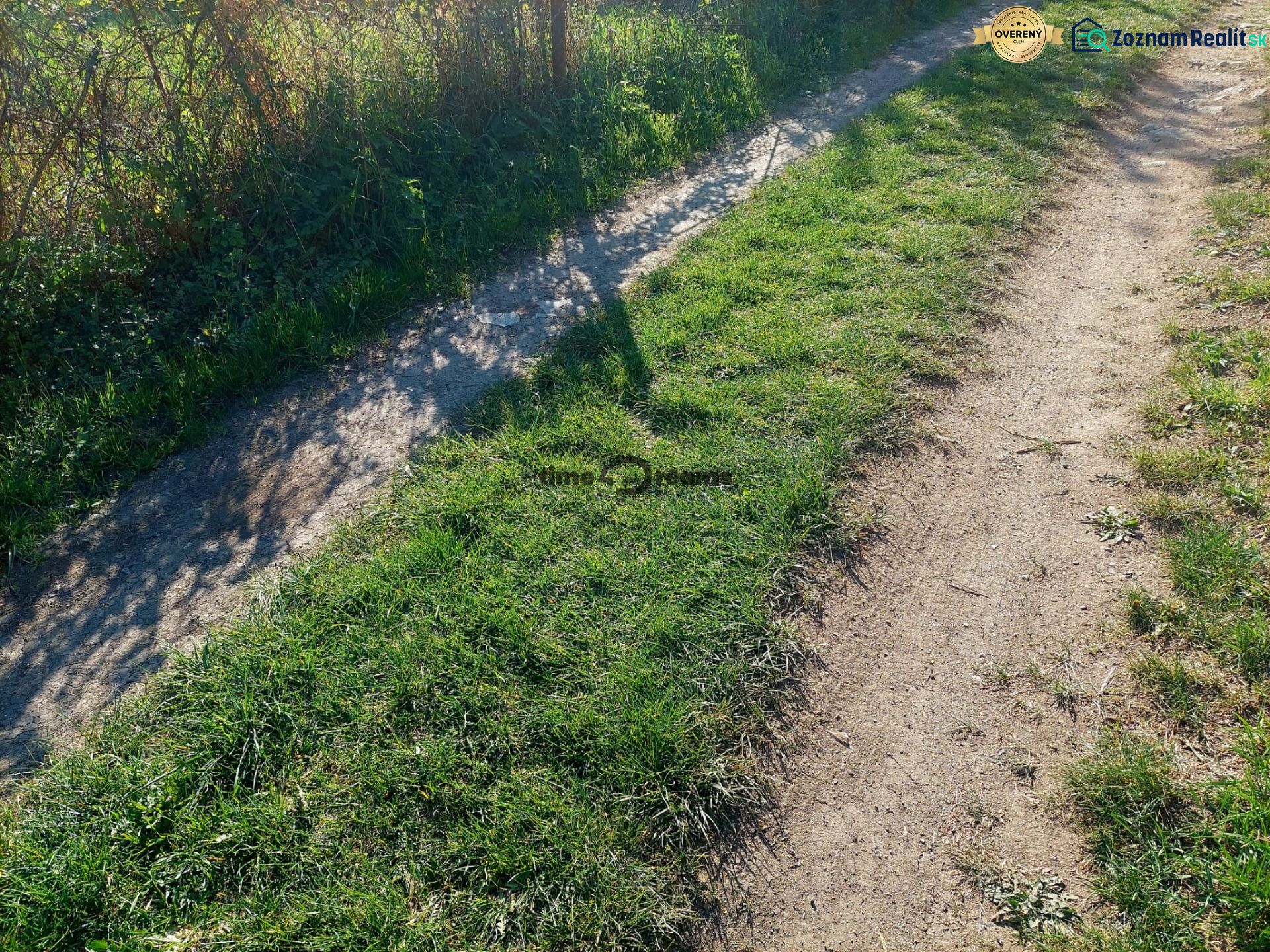 A grassy path in Budiná with growing shrubs along the road by a family house.