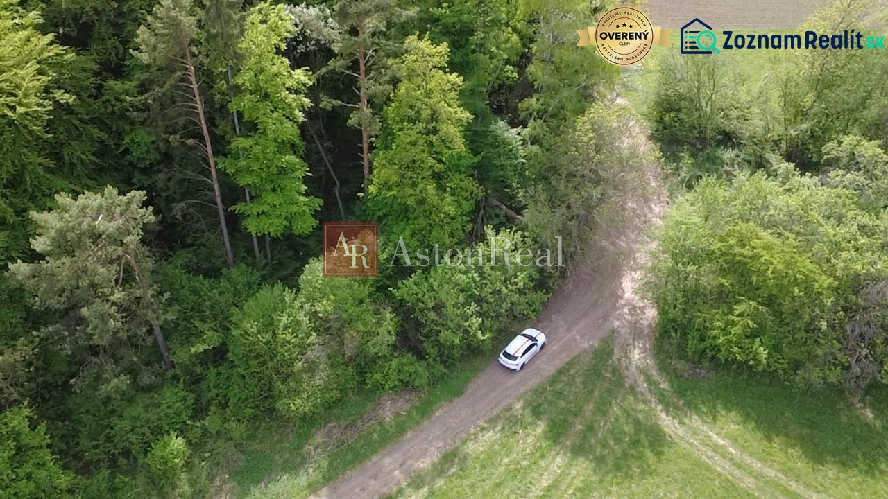 A meadow with a vehicle in front of the forest on recreational land in Streženice, Streženice.