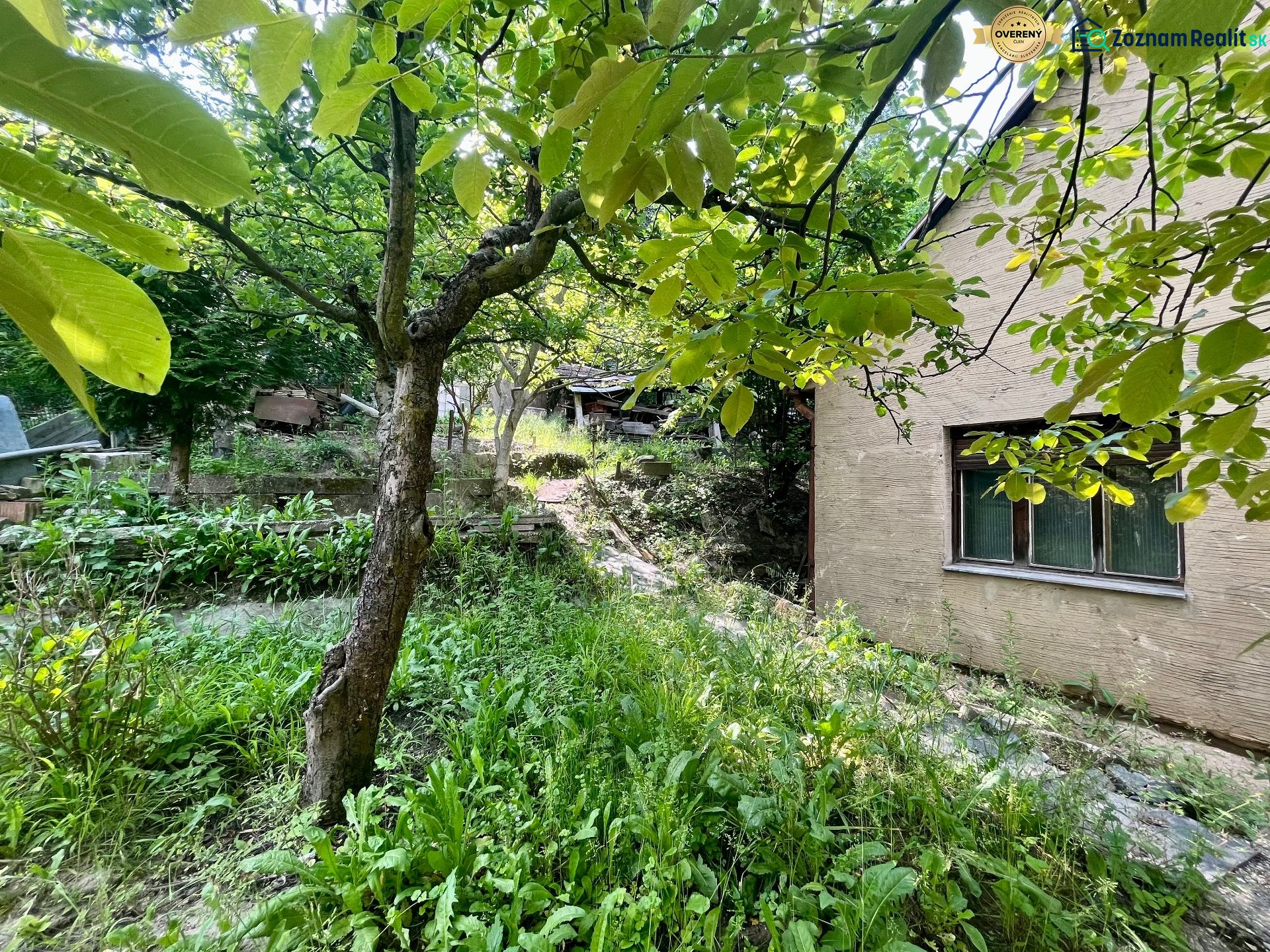 The garden of a family house on Búdková Street in Bratislava - Staré Mesto with surrounding greenery.
