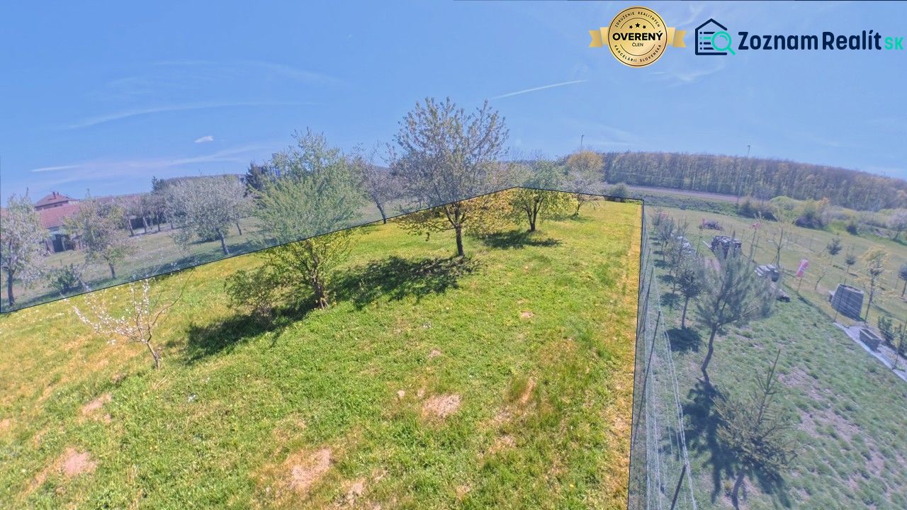 A garden with fruit trees by a family house in Svinia under a blue sky.