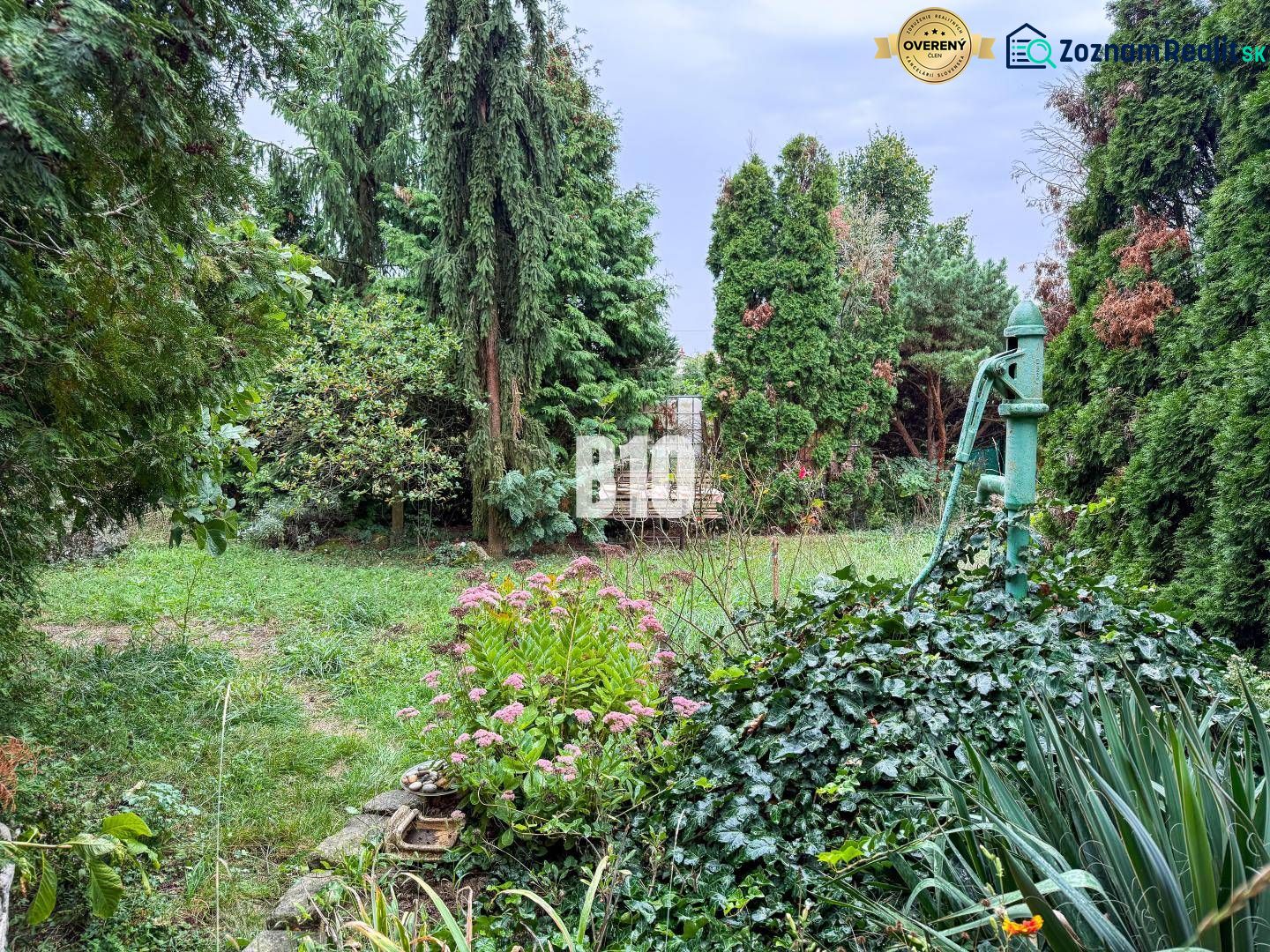 The garden of a family house in Vlkas with greenery and an old pump surrounded by plants.