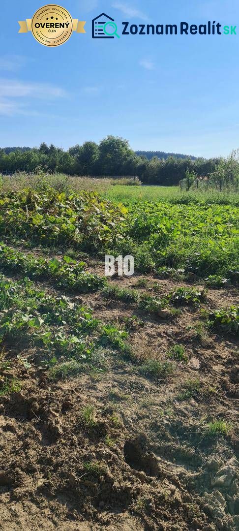 Greenery on plots with cultivated vegetables, suitable for living, surrounded by nature.