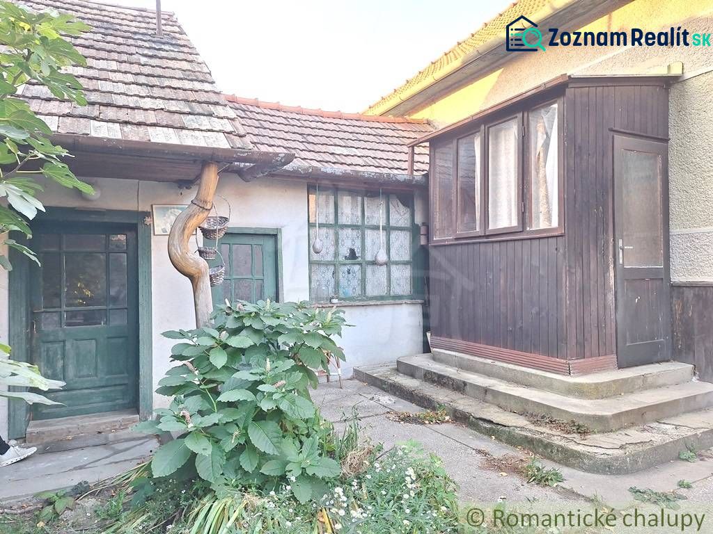 The entrance area of a family house in Gbelce with wooden doors and plants.