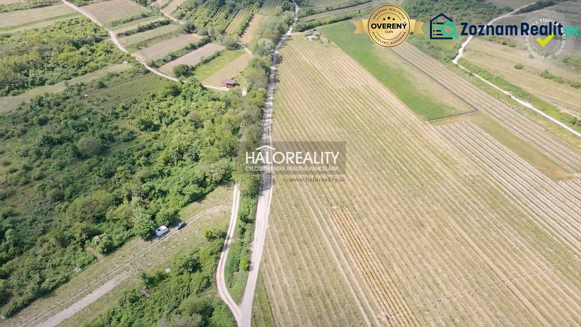 Vineyards and fields on residential land around Svätý Jur.