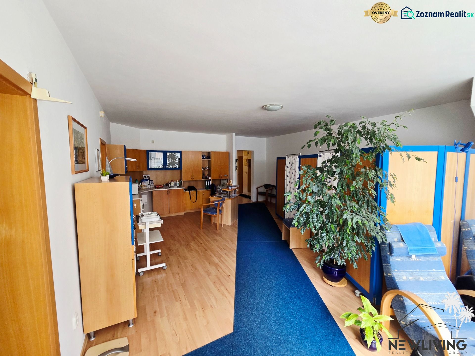 2-room apartment with wood-patterned flooring and furniture, indoor plants.