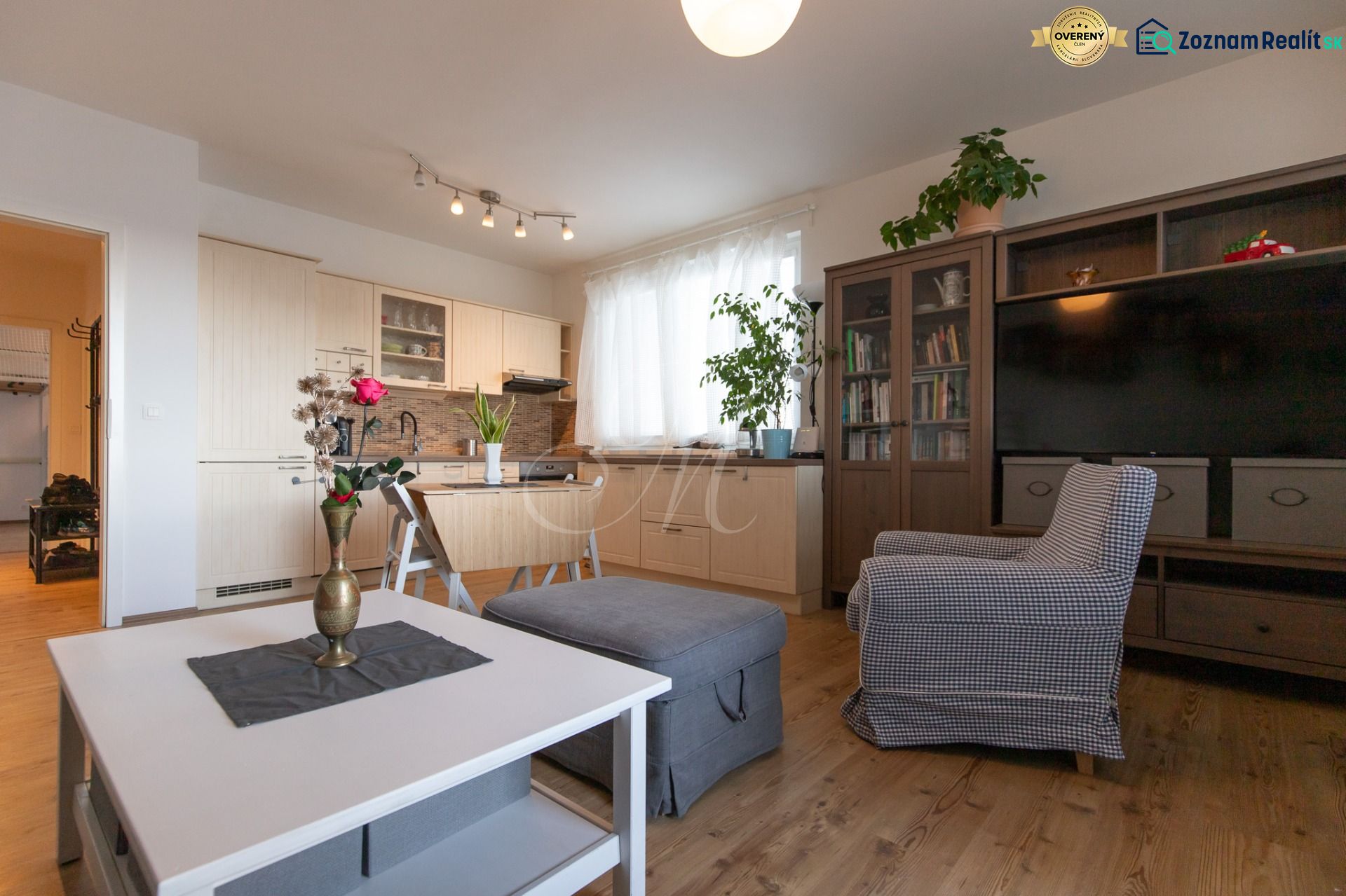 Living room with kitchen, furniture, wood-patterned flooring, and a plant in a two-room apartment.