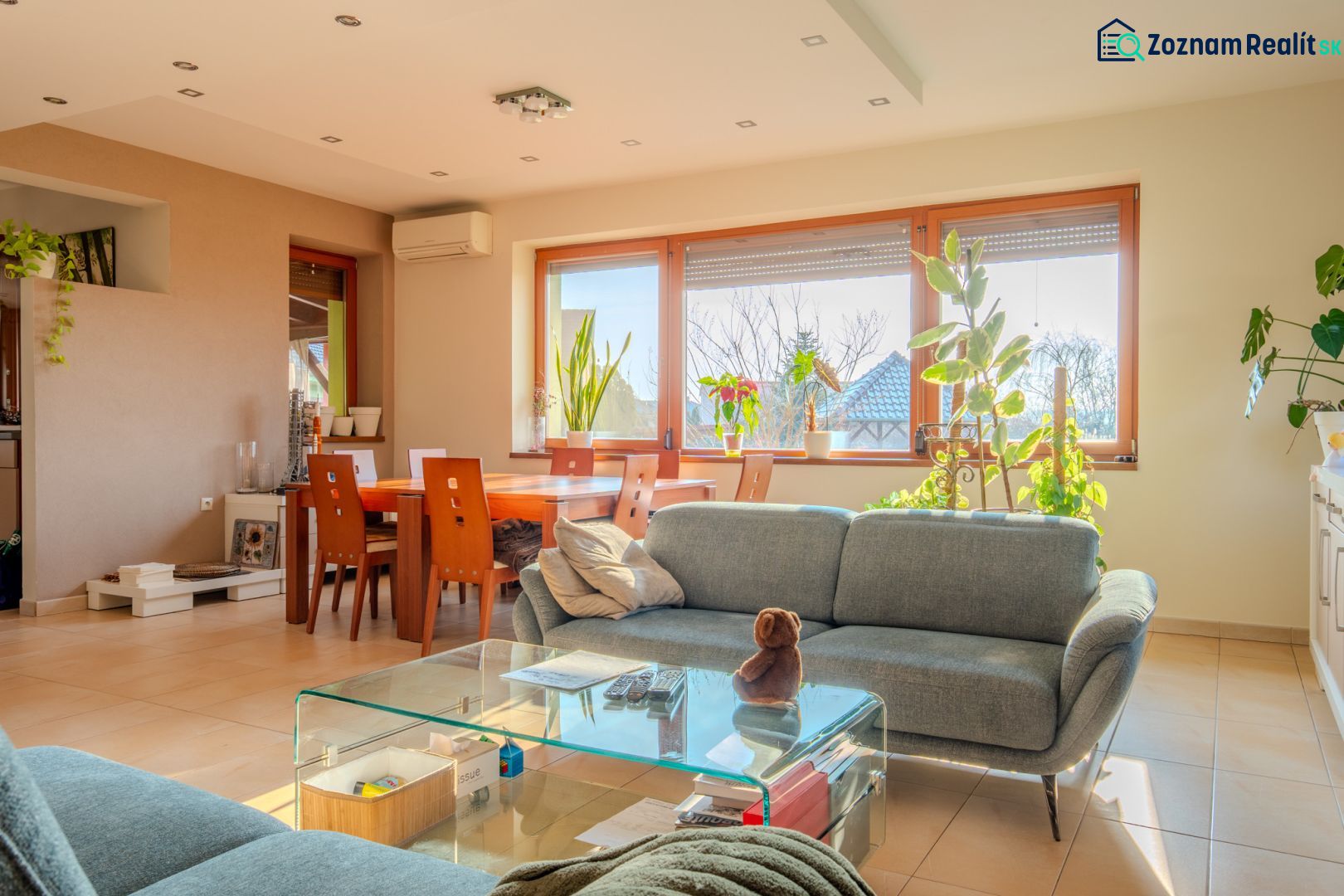 Living room with a sofa, glass table, and plants in a family house.