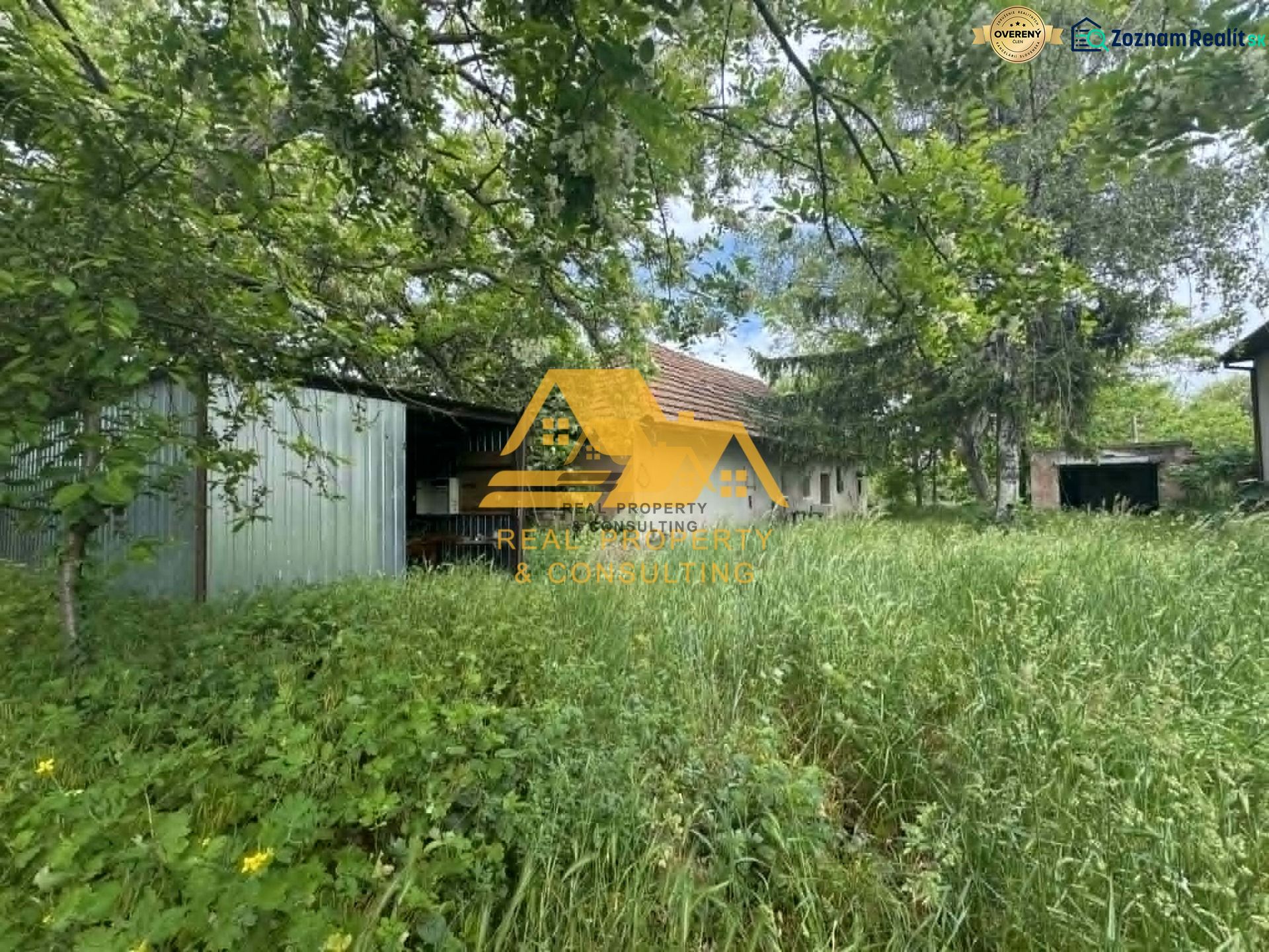 Overgrown plot on Andovce Street in Andovce suitable for living.