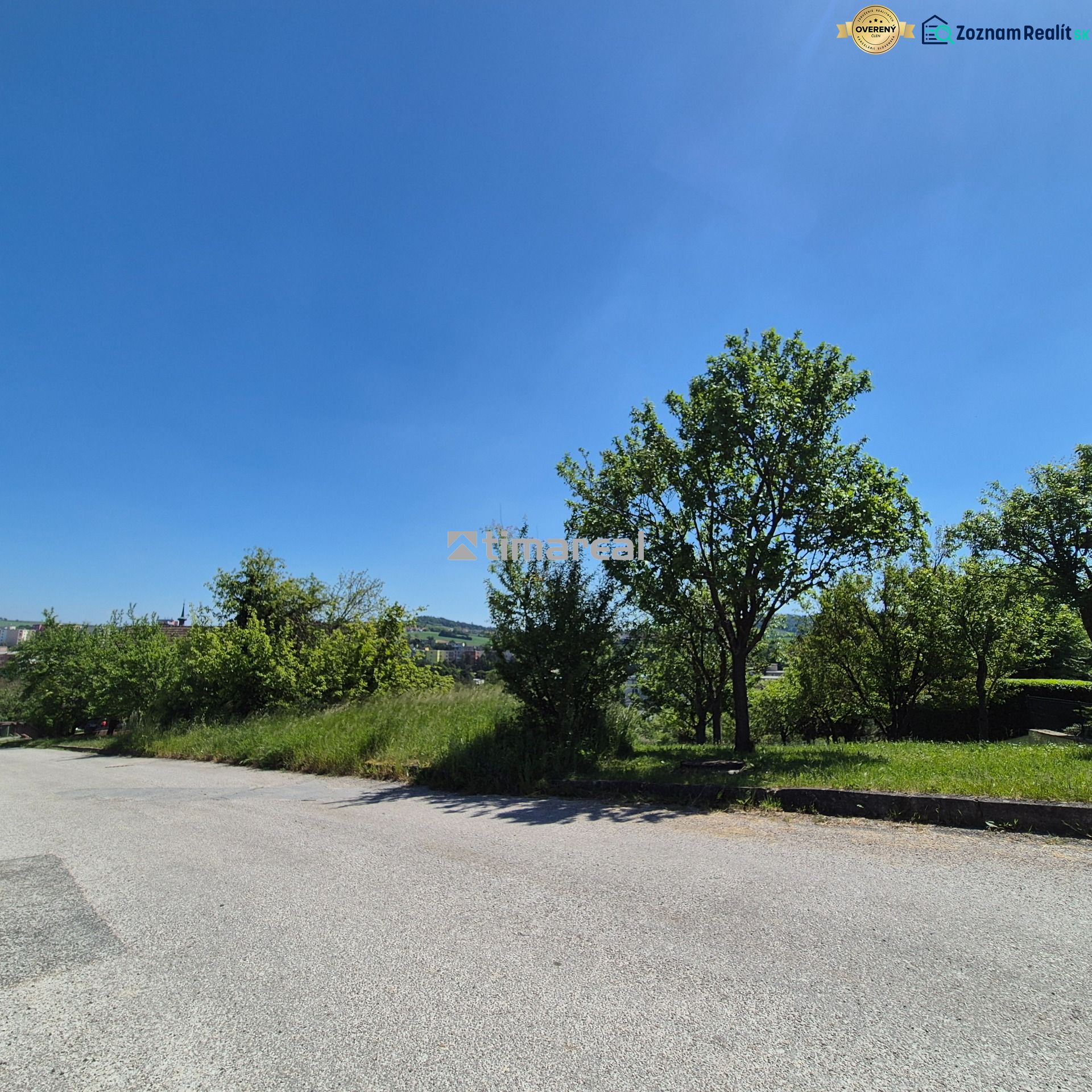 Greenery and road in the area of residential plots in Myjava.