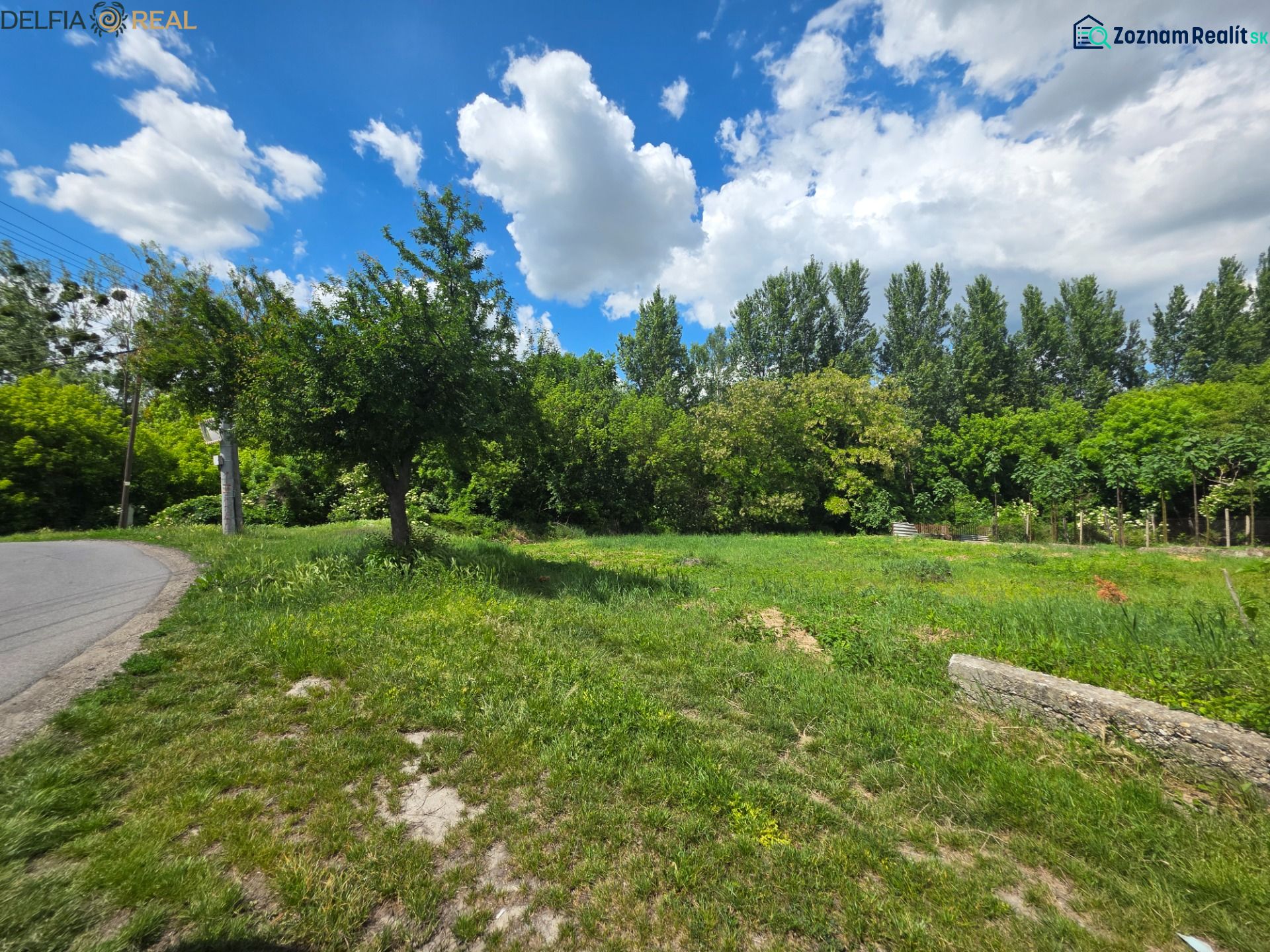 The shot in Tomášikovo on Mlynská shows a residential plot with a grassy area and trees.