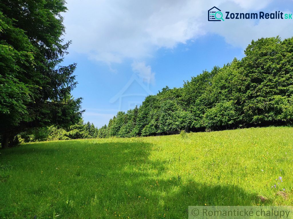 A green meadow surrounded by forests in Záhrady in Hriňová under a blue sky.