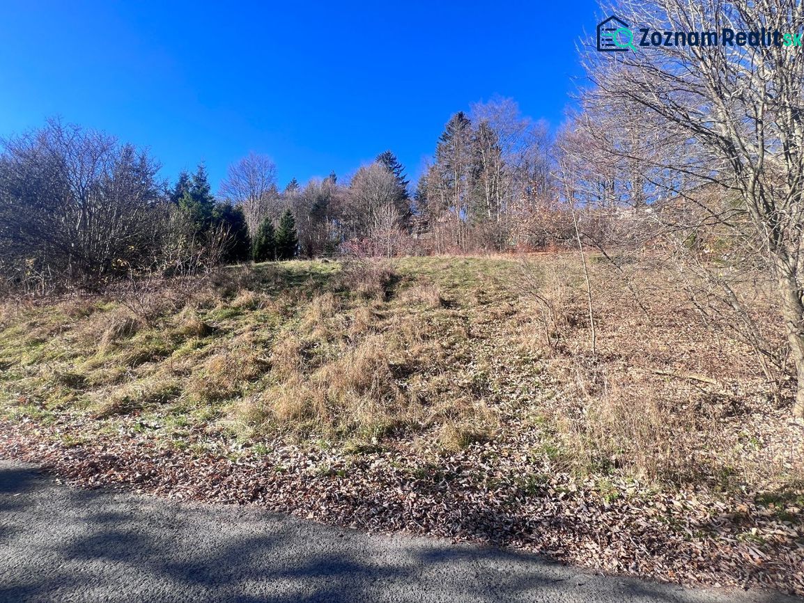 A grassy plot on the outskirts of Donovaly, Banská Bystrica District, Banská Bystrica Region, Slovakia.