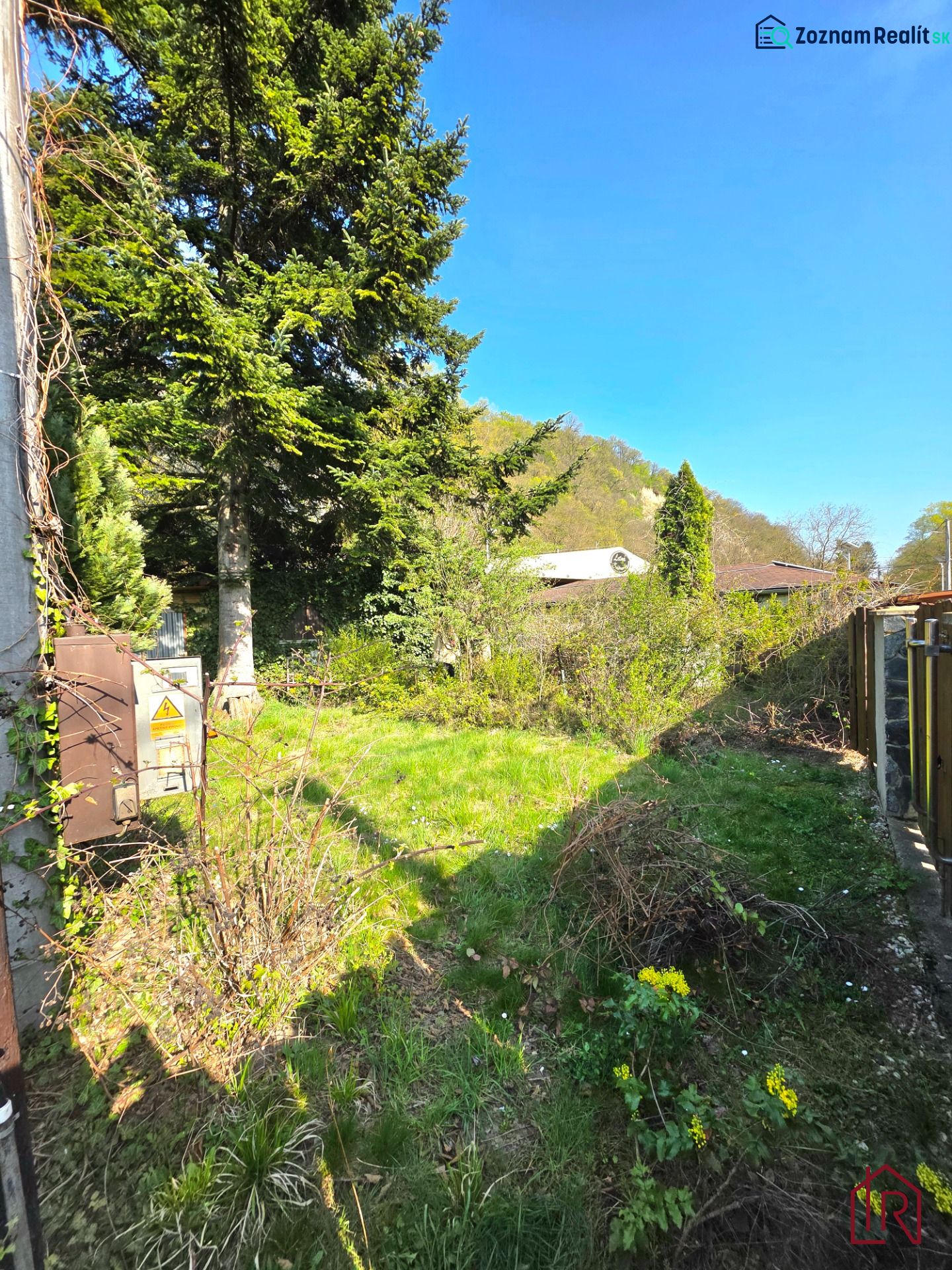 A garden in the Krásna district on 1st May Street with conifers and a lawn.