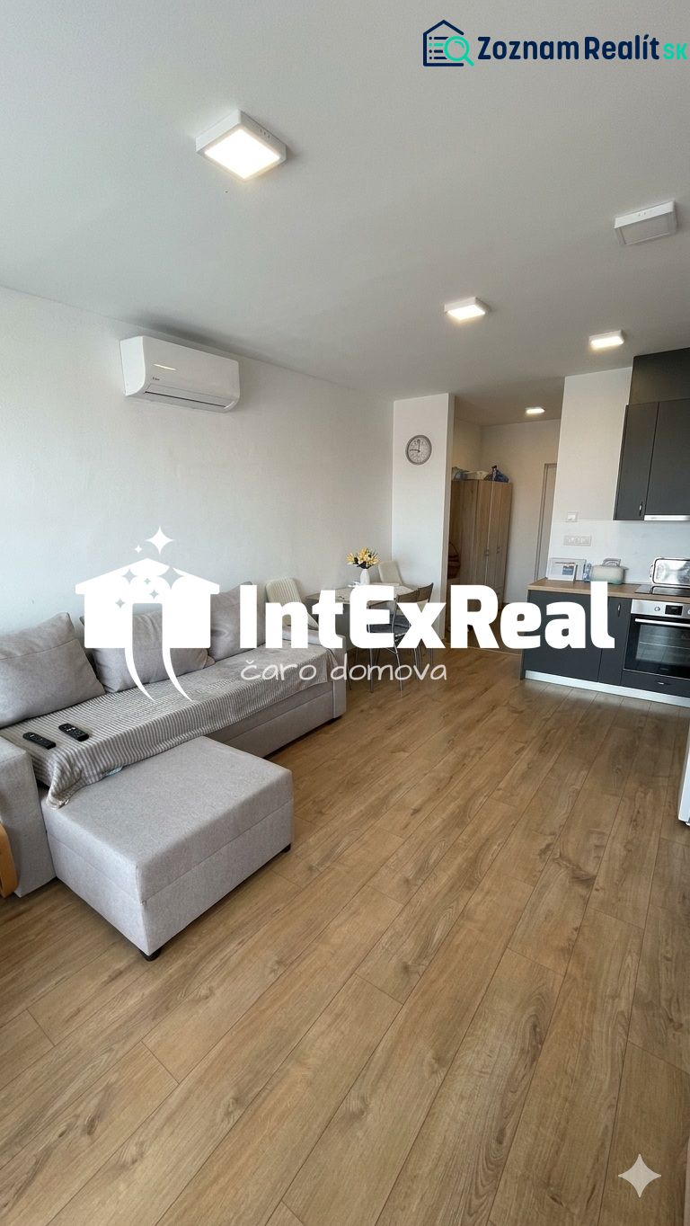 Living room with a sofa, kitchenette, and wooden decor flooring in a studio apartment.