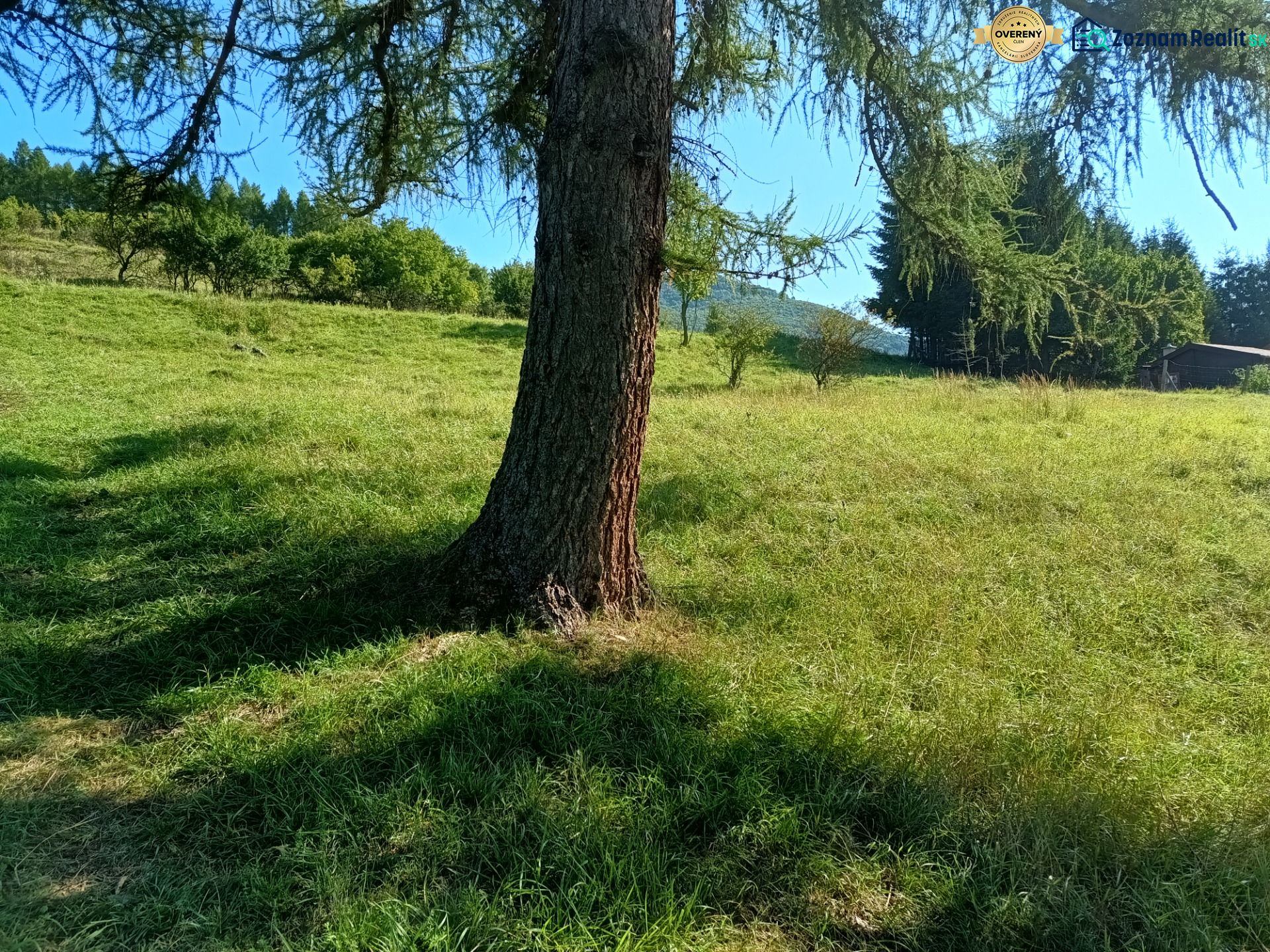 IMG_20250813_092251498_HDR.jpg