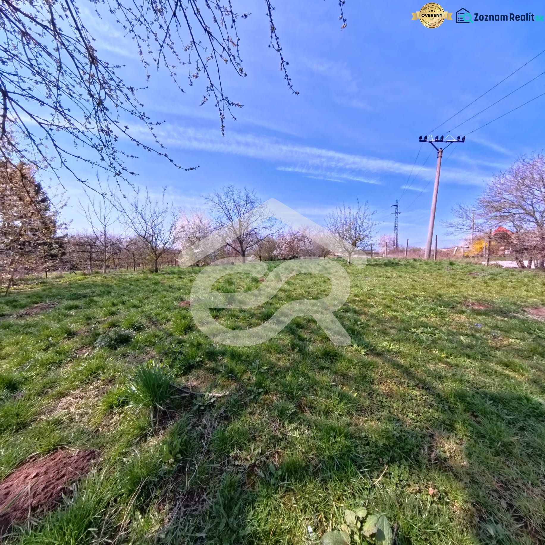 A green plot with power lines and trees on Korytovská Street in Lužianky, ideal for commercial land.