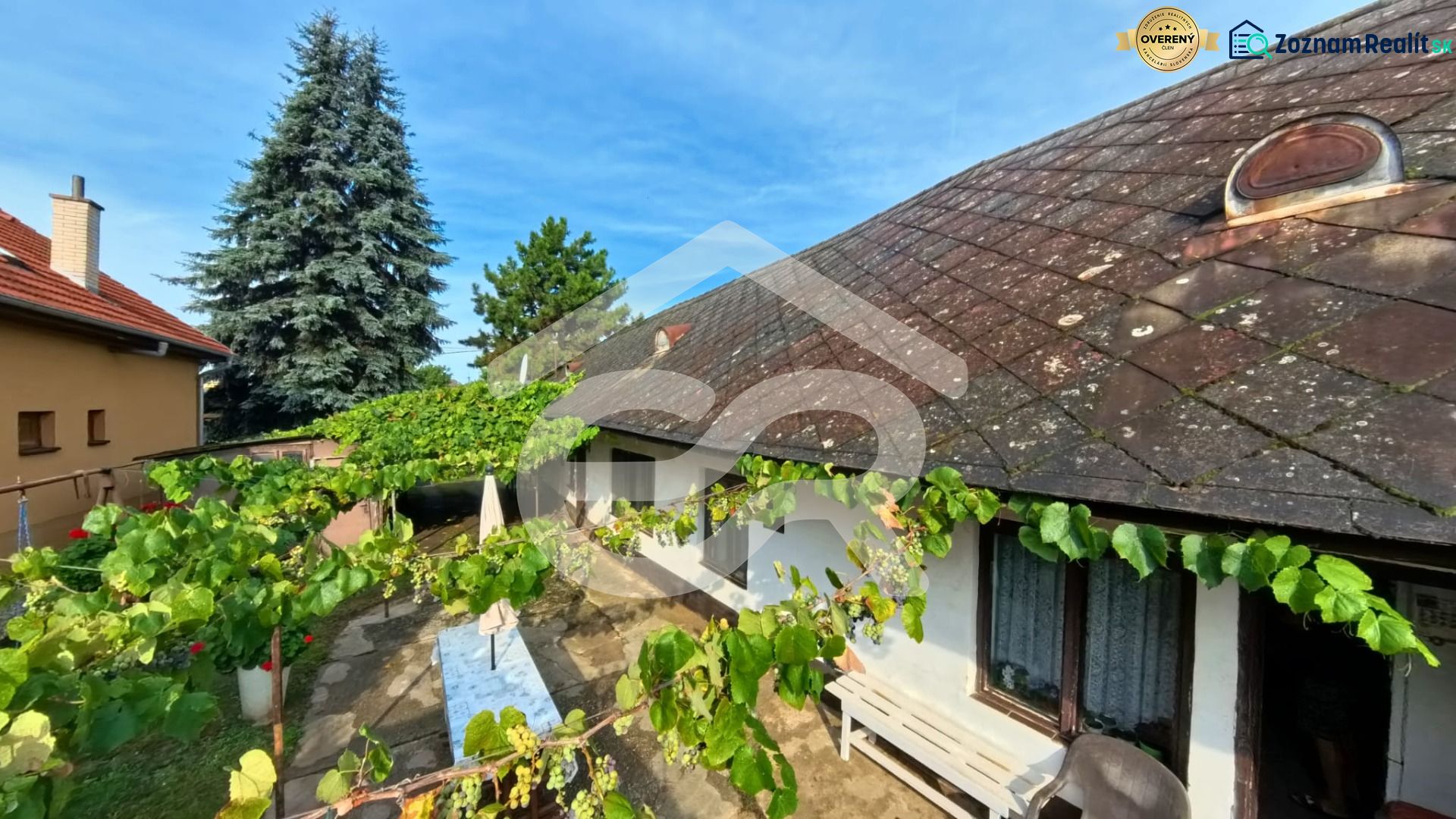 A family house on Hlavná Street in Lehota, with a vineyard and a large conifer.
