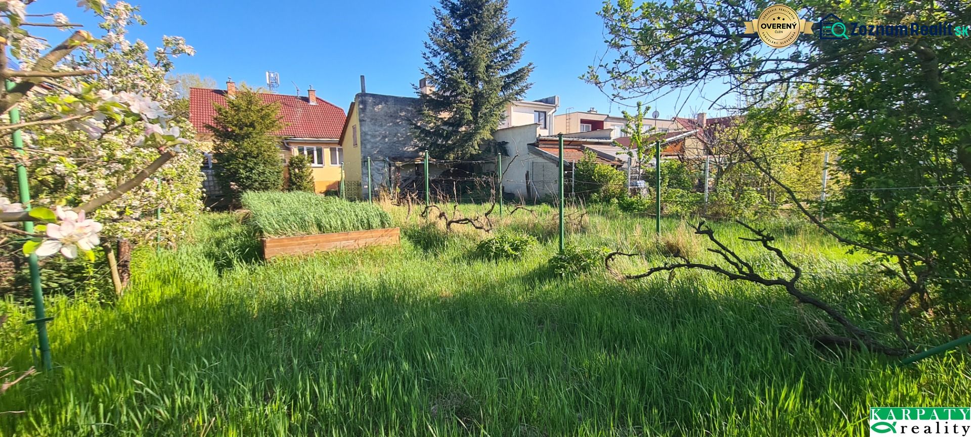 A garden with blooming trees by a family house on Krajna Street in Trnava.