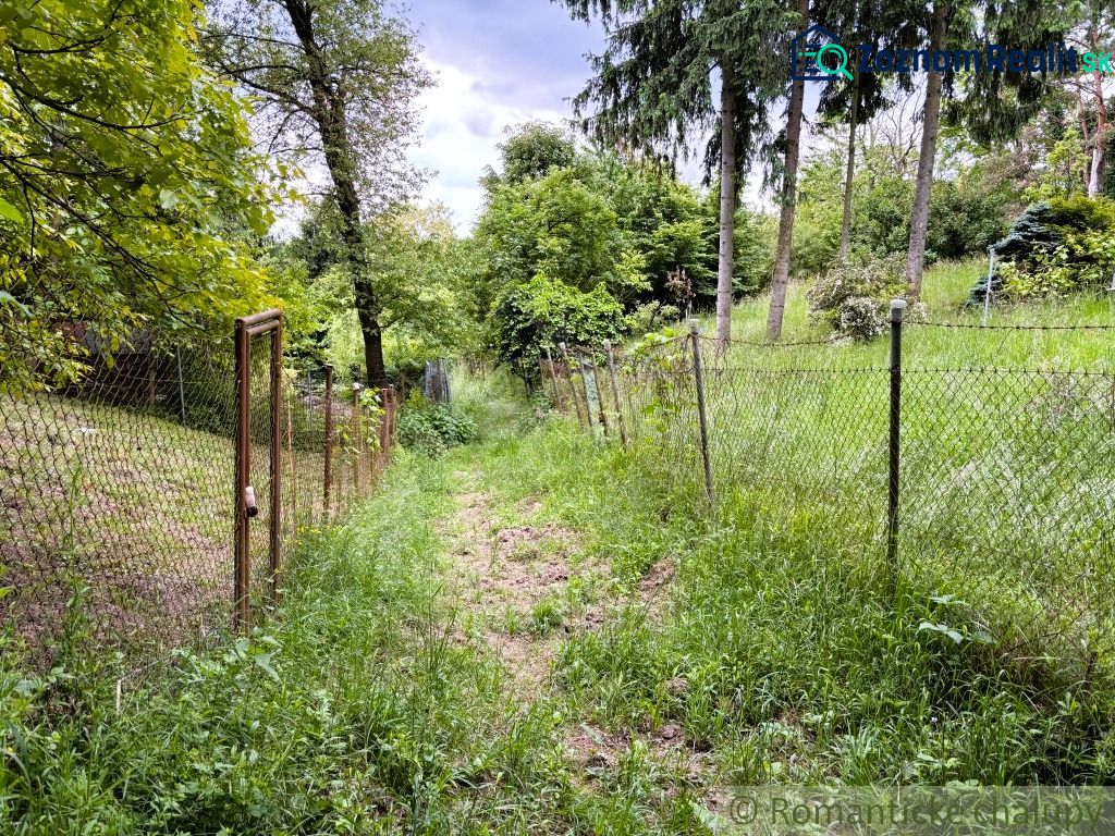 A forest path between fences and trees in Bratislava IV, leading to a cottage.