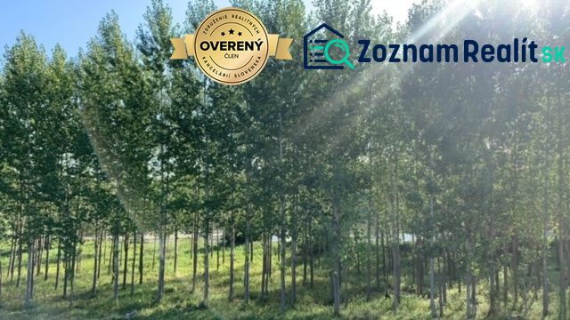 Forest growth in Neded; Residential plots, surrounded by greenery and trees.