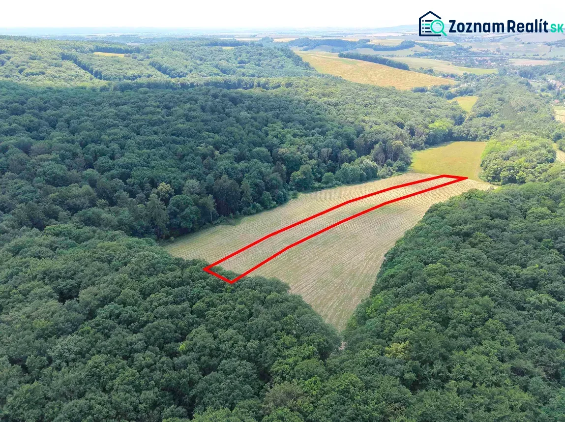 Aerial view of Gardens in Podbranč with a marked rectangular plot in the middle of the forest.