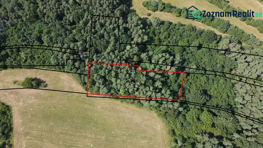 Forest and field area, Gardens in Beckov bordered by a red line.