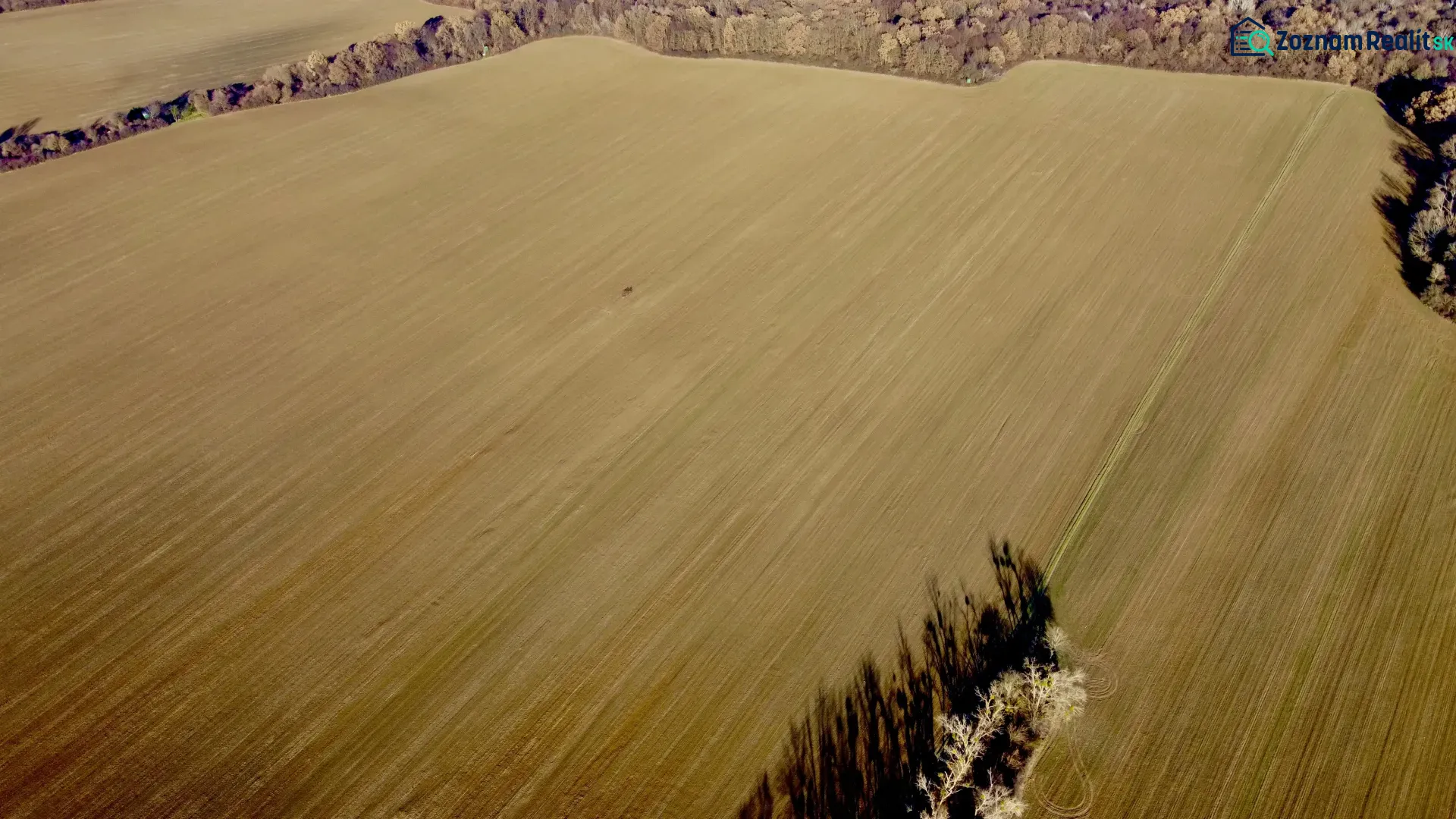 Agricultural and forest lands in Zbudza with extensive flat fields and forests.