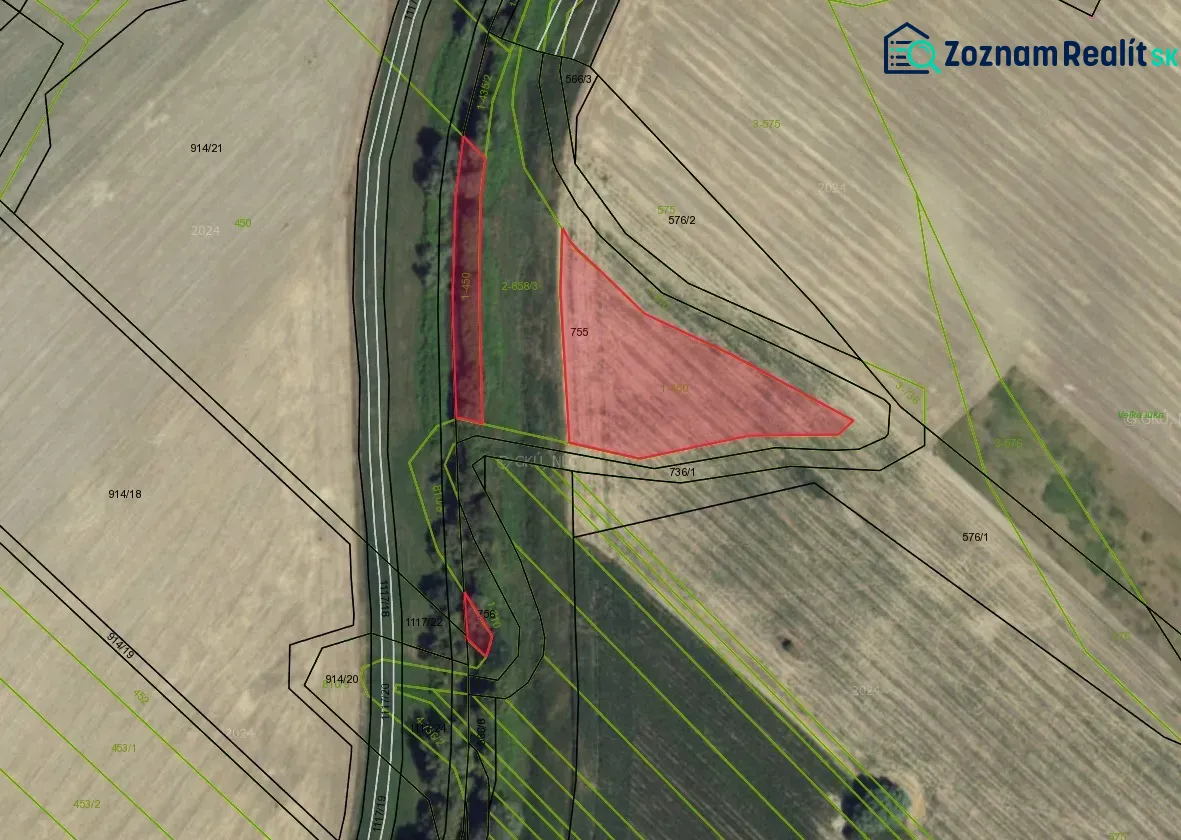 Cadastral map with highlighted plots of special properties in Rapovce.