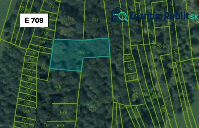 Map of agricultural and forest land in Omastiná with the plot E 709 marked.