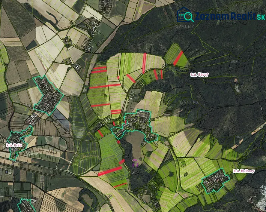 Agricultural and forest lands around Šávola, with a detailed display of parcel numbers.