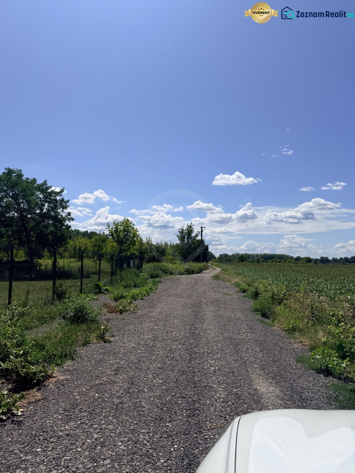 Agricultural and forest land in Zálesie with a country road surrounded by nature and fields.