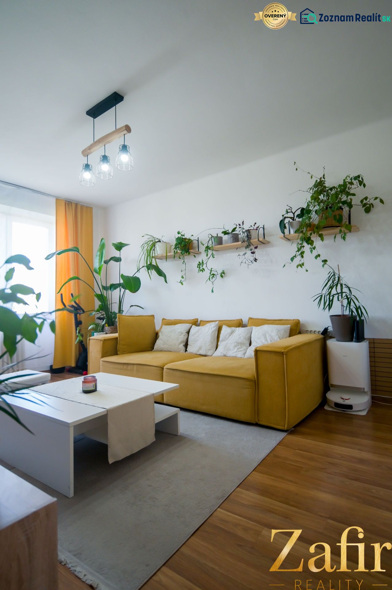 Living room in a two-room apartment with a sofa, plants, and a wooden decor floor.