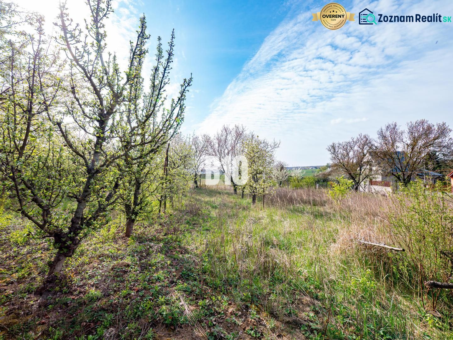 Plots - living in Nitra with blooming trees under the spring sky.