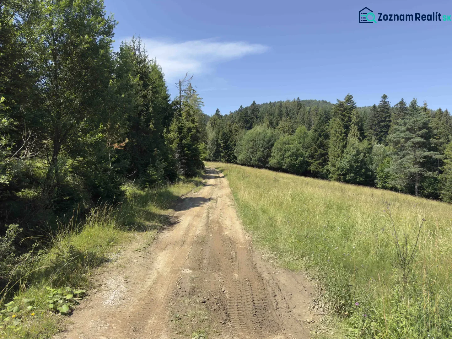 A forest path surrounded by trees and grass in the Stará Ľubovňa region, Unusual properties.