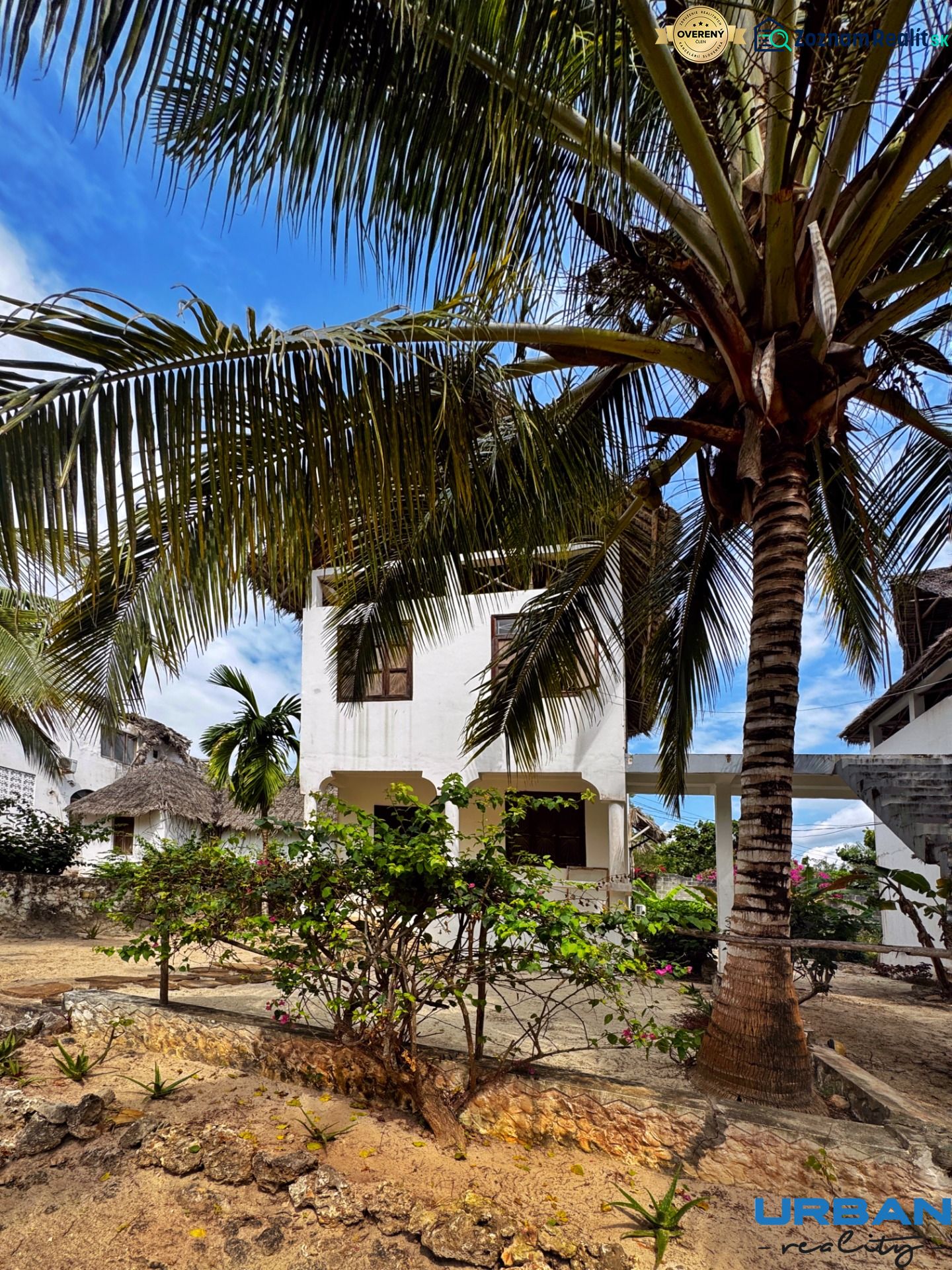 A family house in Pwani Mchangani surrounded by palm trees and flowers on a stone terrace.