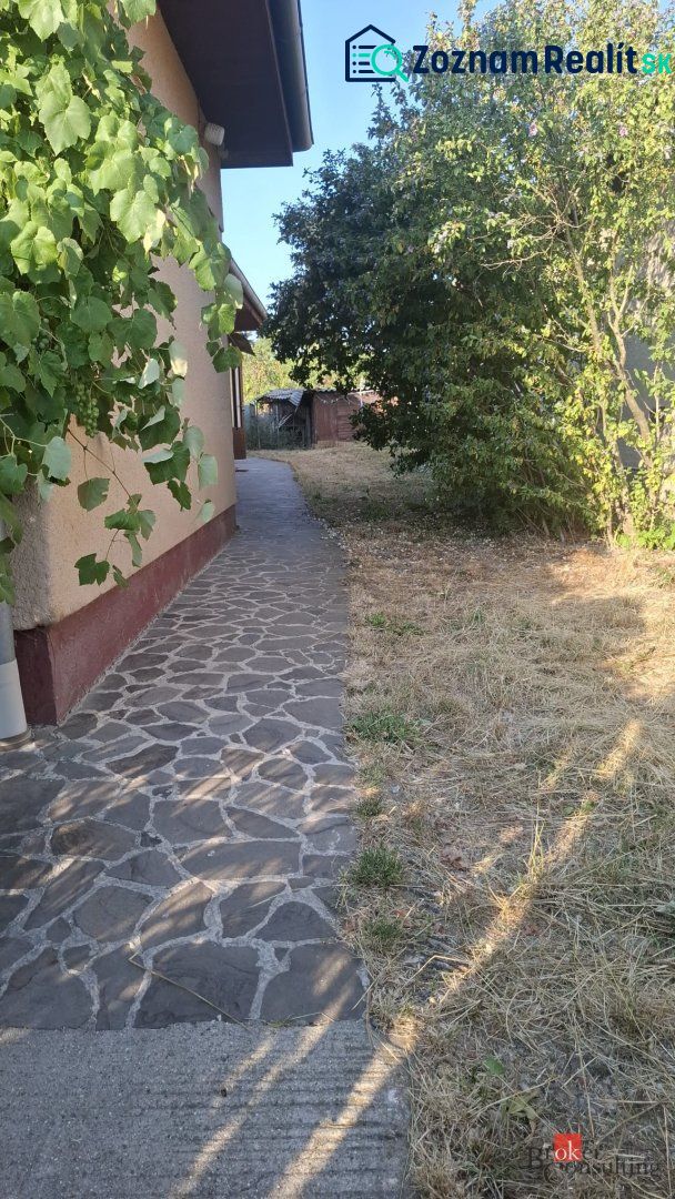 A sidewalk next to a family house in the village of Ladice surrounded by greenery and dry grass.