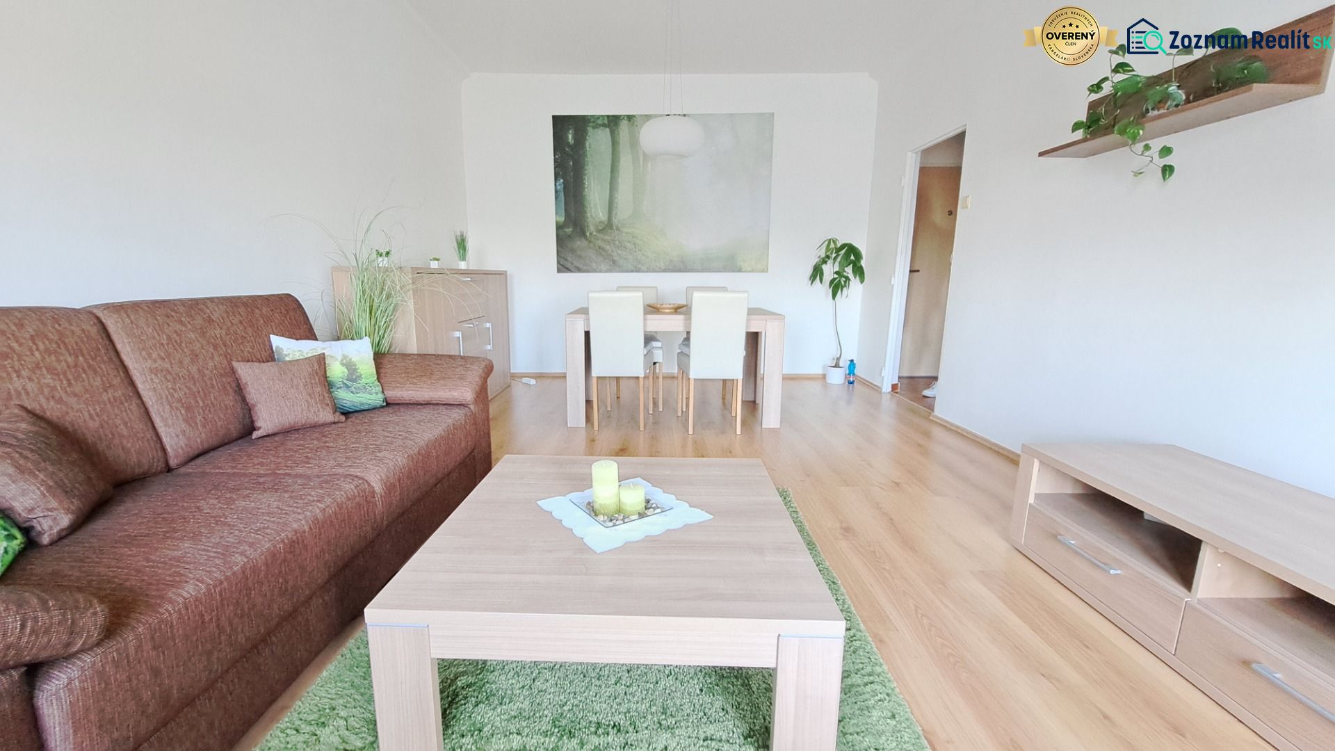 Living room in a 2-room apartment with a brown sofa and a wooden-patterned floor.