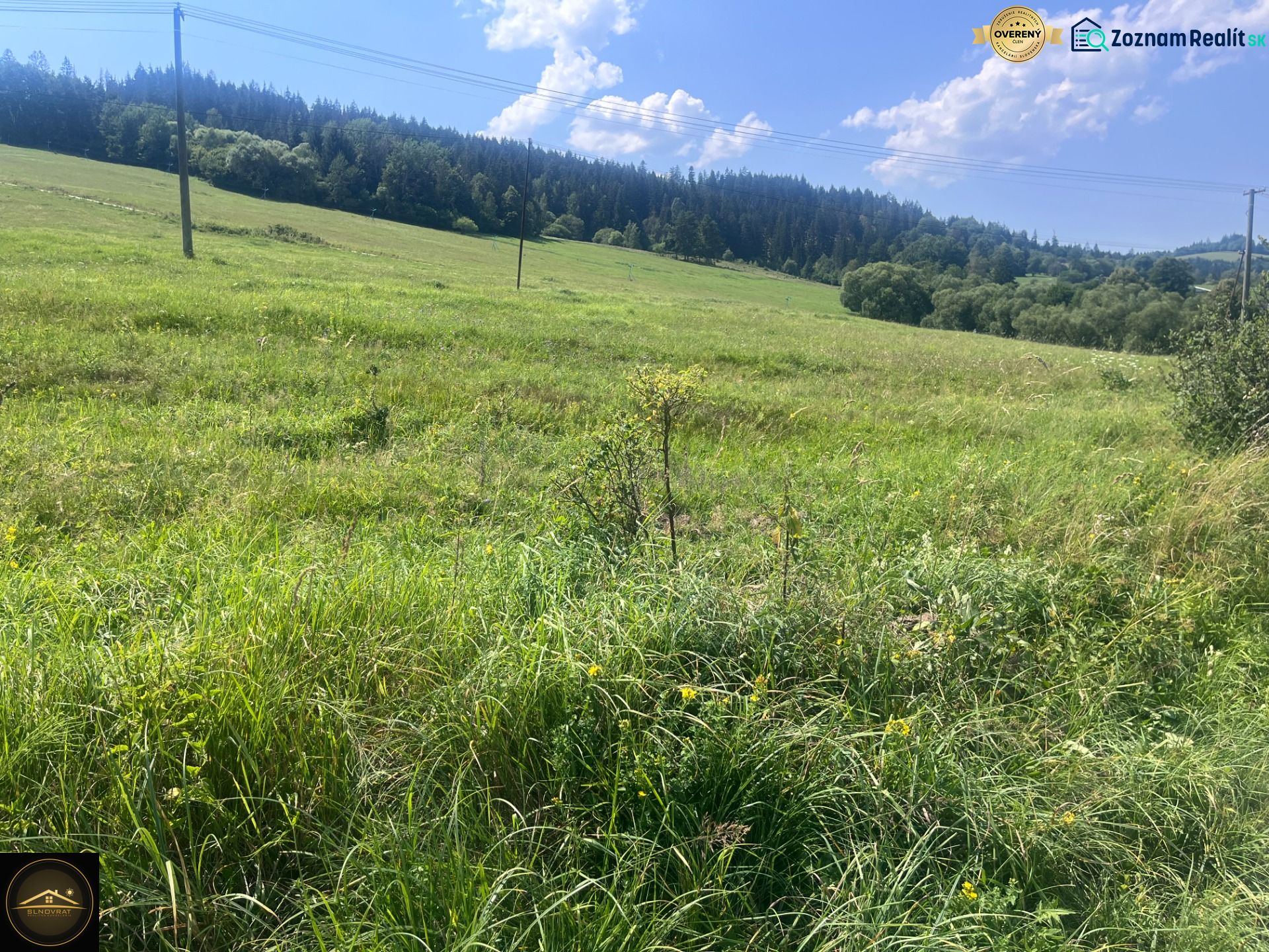 Grassy residential plots in Olešná with a forest background and electric poles.