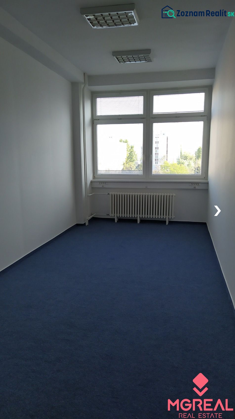 Spacious offices with blue carpet and a large window for plenty of light.