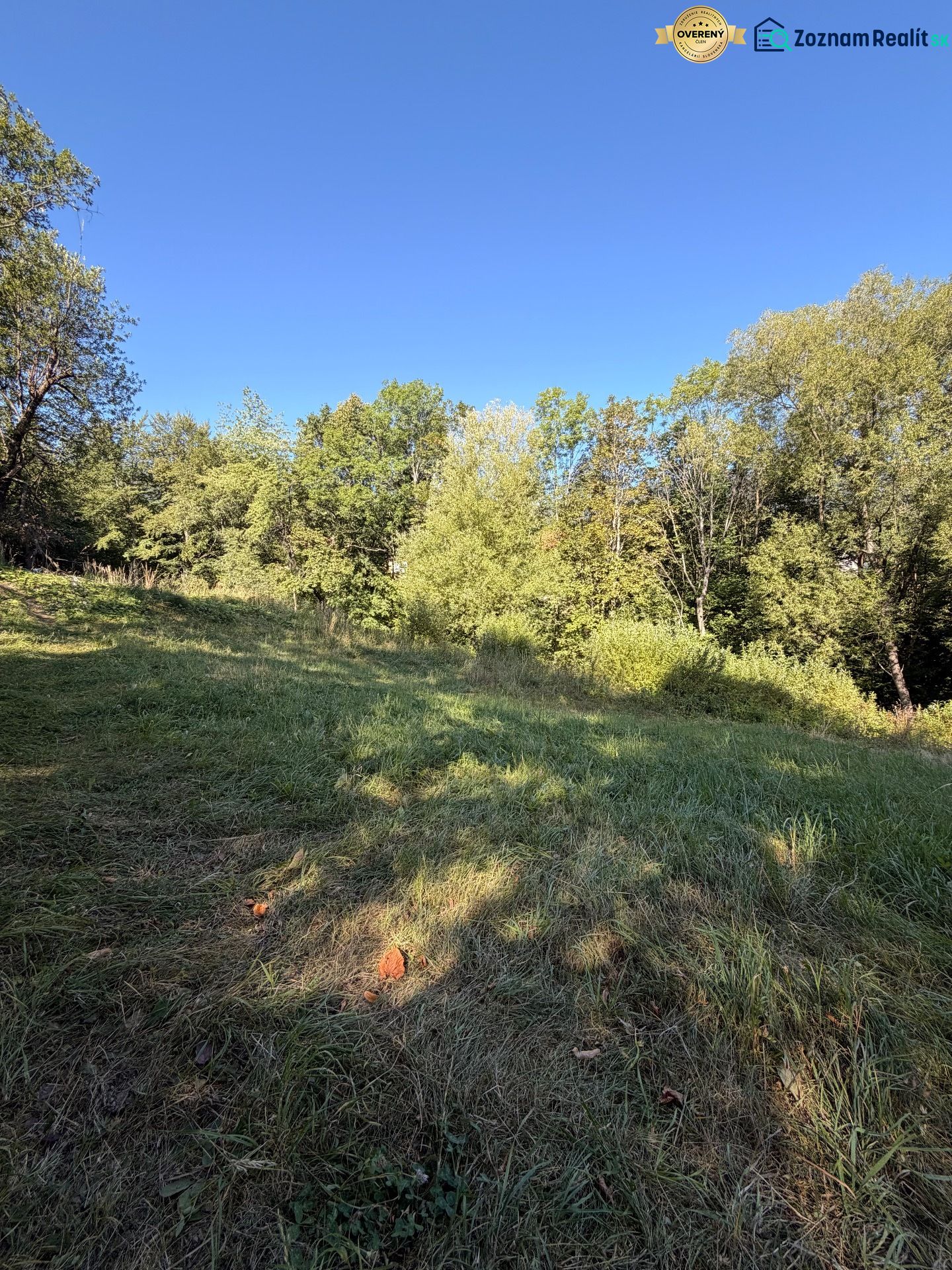 A grassy area surrounded by trees in the Králiky location suitable for plots - housing.