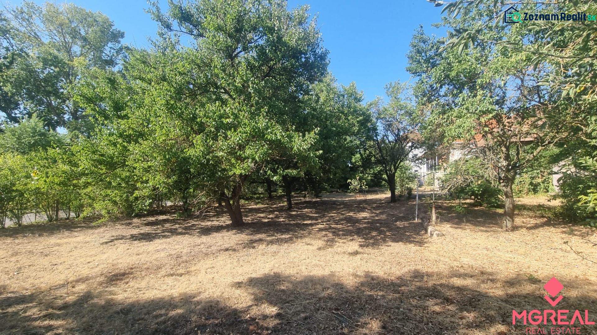A garden with fruit trees by the family house in Moča.