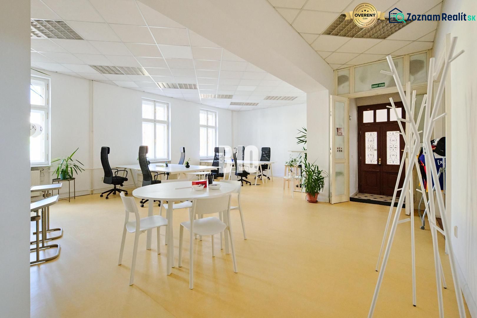 Spacious offices with white desks, chairs, and plants, floor with wooden decor.
