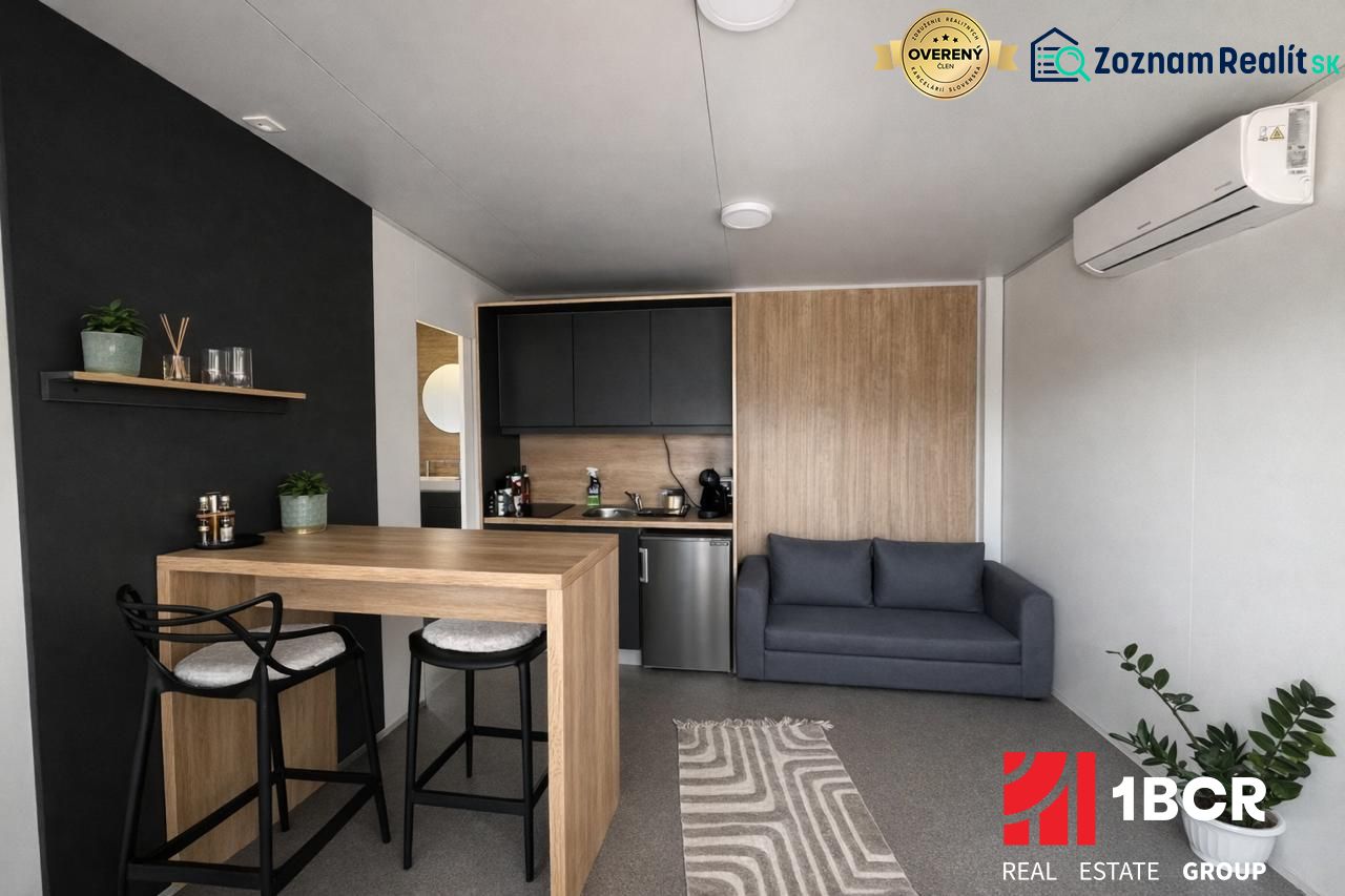 Recreational apartment with wood-decor flooring, kitchenette, and sofa.