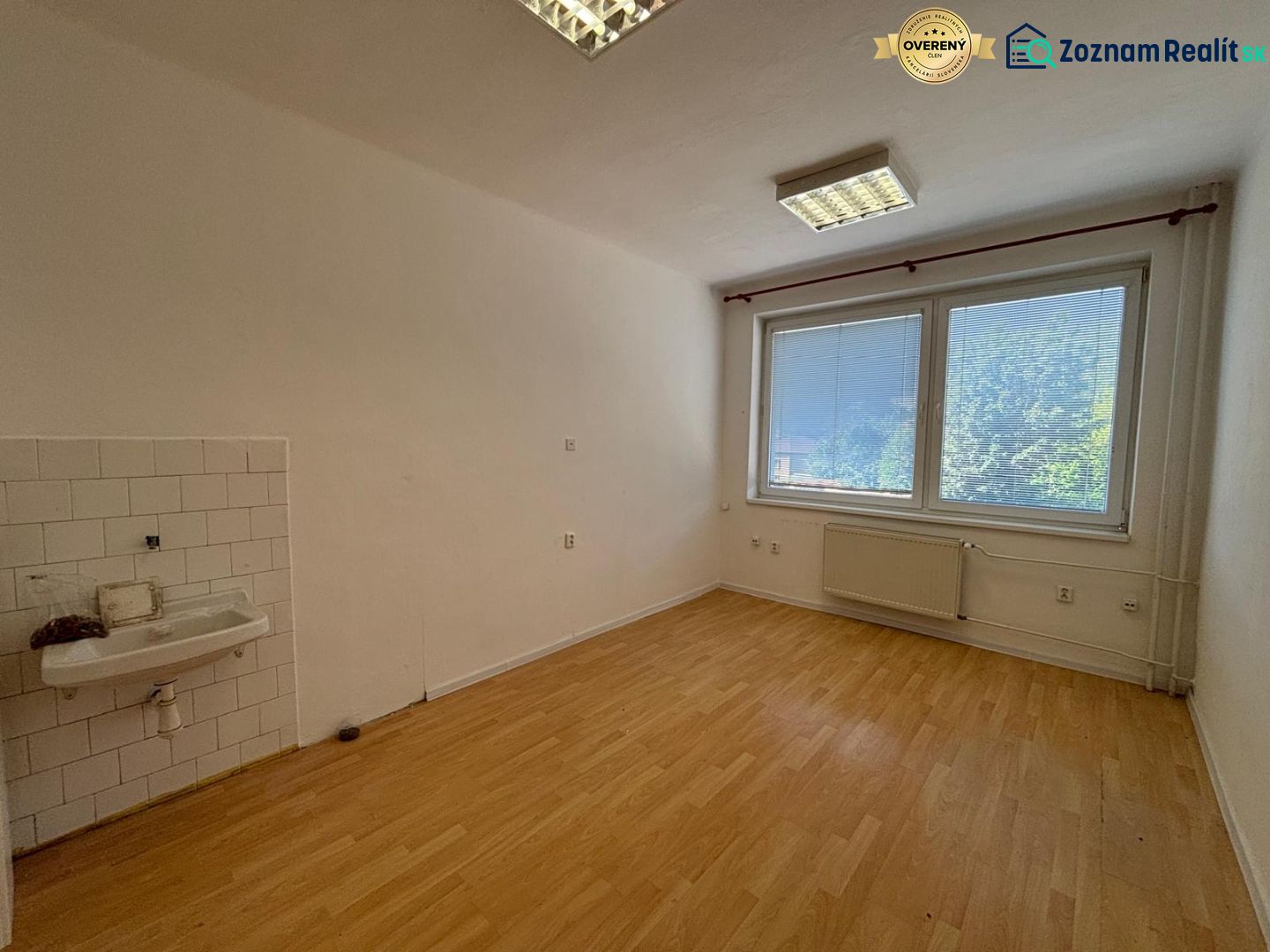 Offices with wood-patterned flooring, a sink, and a large window.